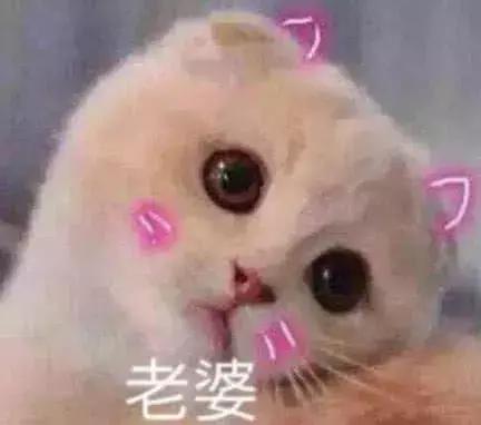 知道为什么女汉子越来越多吗因为大家闺秀书香气质是不好装 知道为什么女汉子越来越多吗因为大家闺秀书香气质是不好装