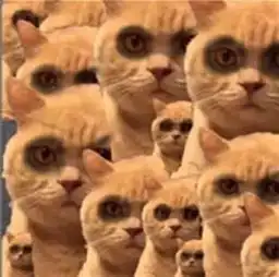 熬夜修仙表情包最红