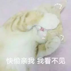 走过最惊险的路,大概就是男朋友送礼物的套路