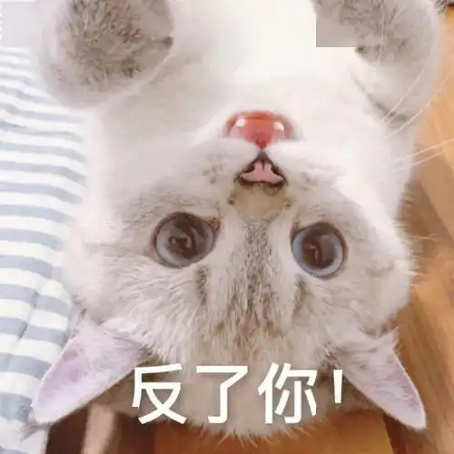 表情包图片快删除,脑子里有画面了 表情包图片快删除,脑子里有画面了