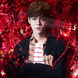  李易峰卖萌baby献吻明星表情包谁最强