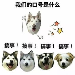  李玟15年后穿奥斯卡红旗袍身材依旧火辣,孙俪一双袜子穿20年