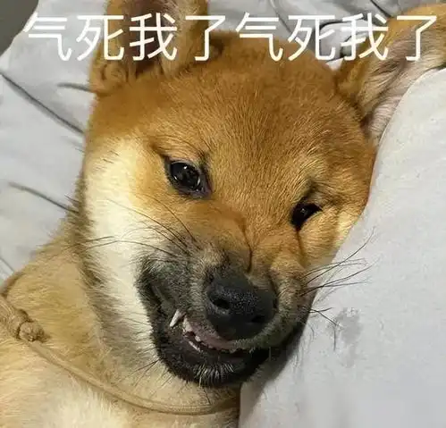 给男朋友道歉表情包狗男
