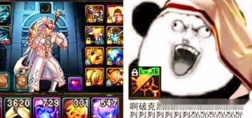  dnf五千智七十五奶和六千智七十三奶,哪个更受玩家欢迎