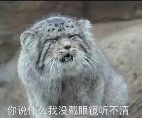 近视的都看看你说什么我没带眼镜听不清丨趣图 近视的都看看你说什么我没带眼镜听不清丨趣图