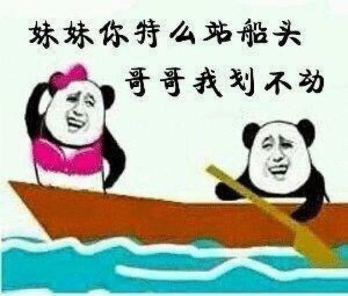  怼直男表情包,女生请慎重,网友笑死我了