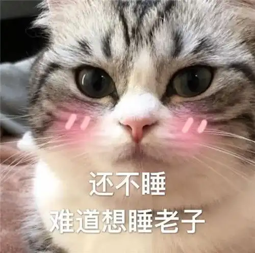 小奶猫你有你的520,我有我的502,不是很甜,但是很黏 小奶猫你有你的520,我有我的502,不是很甜,但是很黏