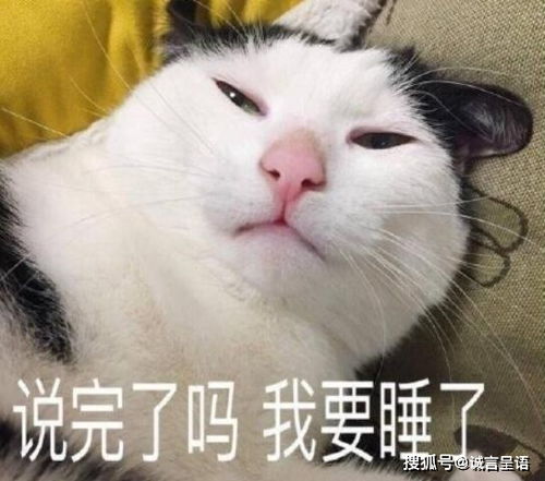  清华北大的卑微,全写在了招生老师的脸上,哈哈哈