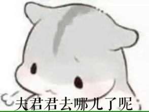  求这个表情包全部夫君君和小娘子