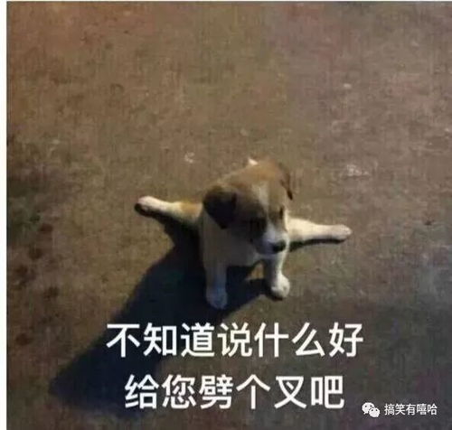  重庆妹儿和男朋友聊天记录曝光看完露出痴汉般的笑容