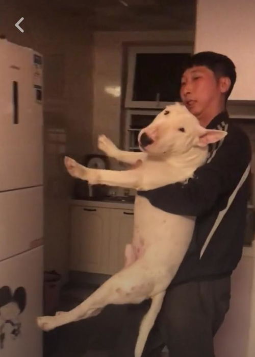  不要再说林永健和孙红雷像牛头梗了,他才是最像的