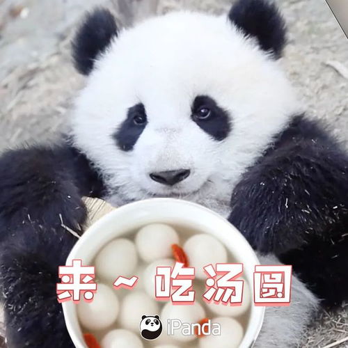  元宵是滚出来的还是包出来的