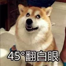 抱歉阿娇,这一次我必须泼你一盆冷水 抱歉阿娇,这一次我必须泼你一盆冷水