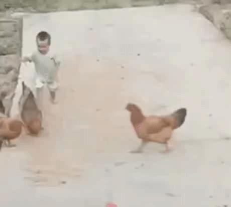 搞笑动图表情包小孩子每