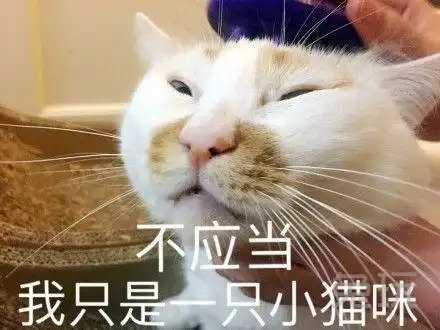 电子竞技菜是原罪浅谈lpl背锅位打野 电子竞技菜是原罪浅谈lpl背锅位打野