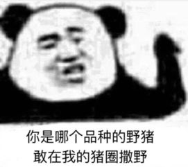  别装作爱理不理的的样子