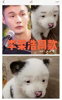 继孙红雷撞脸牛头梗后,惊现撞脸扛把子李荣浩同款 继孙红雷撞脸牛头梗后,惊现撞脸扛把子李荣浩同款