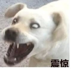  中华直男魅力时刻身高165长的帅是什么验,梁静茹给了他们勇气