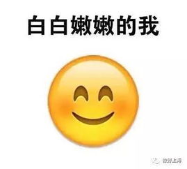  魔都昨天35度今天狂降十几度明天又回30度住在魔都,玩的就是心跳