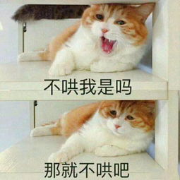 谁说内蒙的十月是荒凉,来看看金色的海洋,内蒙古自助游攻略