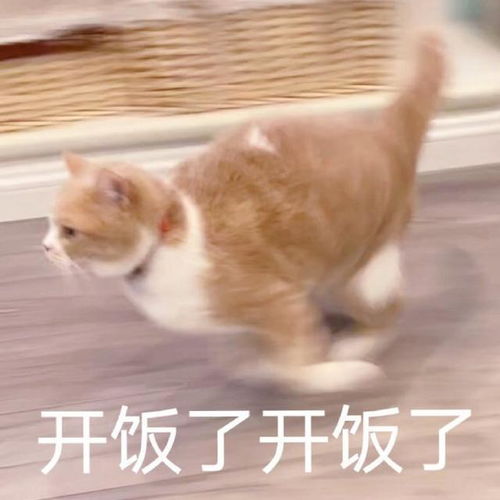 表情包图片下载大全生气
