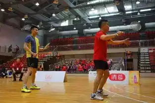 林李大战或成绝唱羽毛球亚锦赛追星攻略必看 林李大战或成绝唱羽毛球亚锦赛追星攻略必看