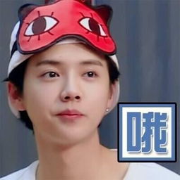  鹿晗表情包带字表情包白眼超开心