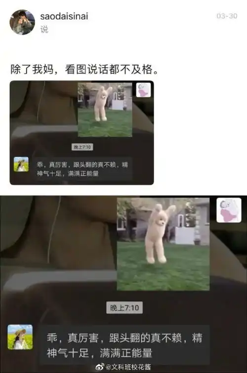 手滑在家族群发了ghs的表情包救命人没了 手滑在家族群发了ghs的表情包救命人没了