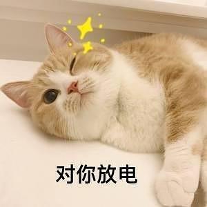  都别激动,送你们一波表情包