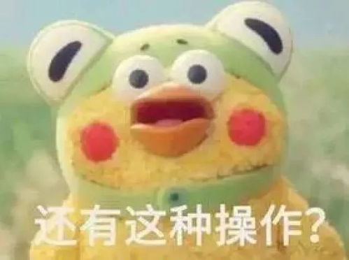  惊呆上大学最害怕的事发生了成绩单包邮