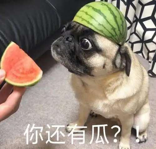 苏宁被曝公寓门,是资本无情,还是另有隐情 苏宁被曝公寓门,是资本无情,还是另有隐情