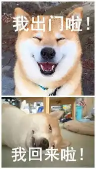  我回来啦表情包