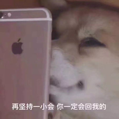  收到消息不回复的人,他们是什么心理