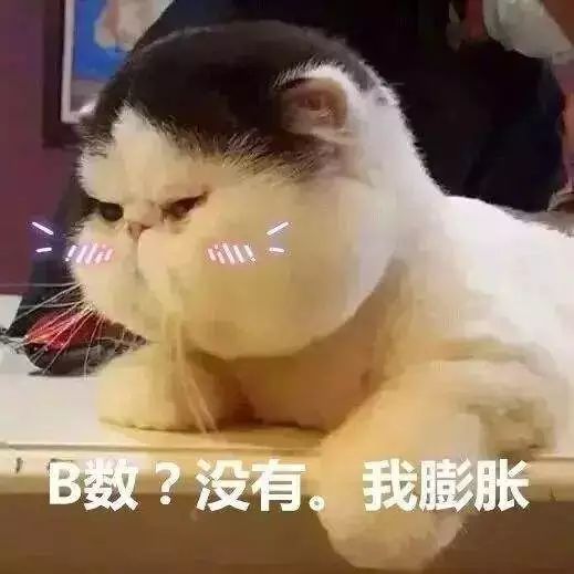 冬季装逼指南如何登顶雪场鄙视链 冬季装逼指南如何登顶雪场鄙视链