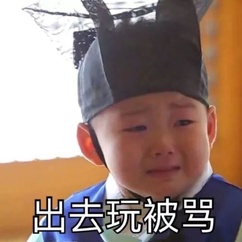  放假七天,我过得不如我养的蛙儿