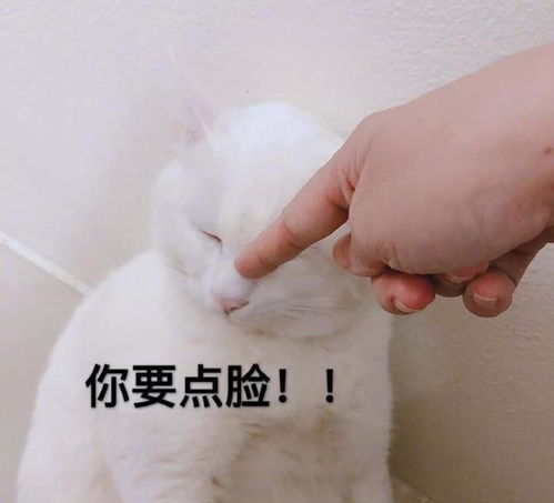  开心一刻笑话妈妈一向节俭,一般不允许开空调,嫌用电太多了