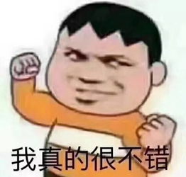  今日表情包精选9.9