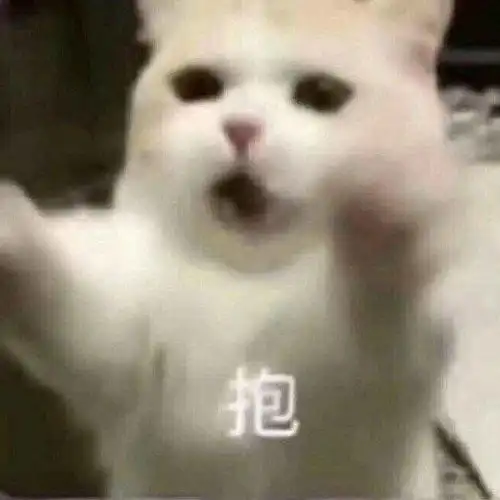 老公要抱抱表情包我要