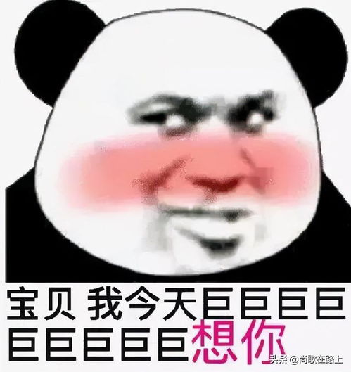  表情包整理撩妹神器必用的表情包