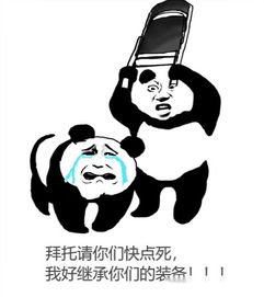 美了美了歌词表情包转圈