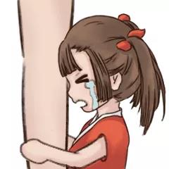  姐姐可以,那么妹妹也可以