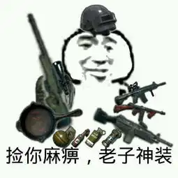 麻痹的表情包美术界