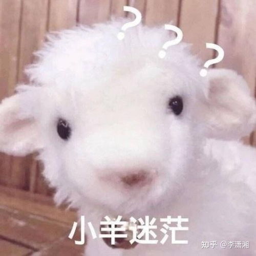  麻烦各位大佬给我推荐几款适合痘痘肌的水乳