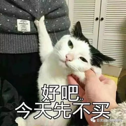  巨年味希望最后几天能给你一点年味