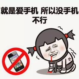  珠江调研你,确定要玩我