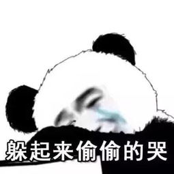  春节表情包斗图加油站