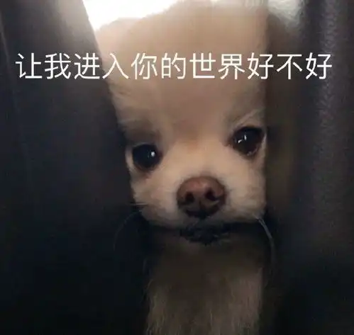 可爱表情包图片啃爪爪,让我进入你的世界好不好 可爱表情包图片啃爪爪,让我进入你的世界好不好