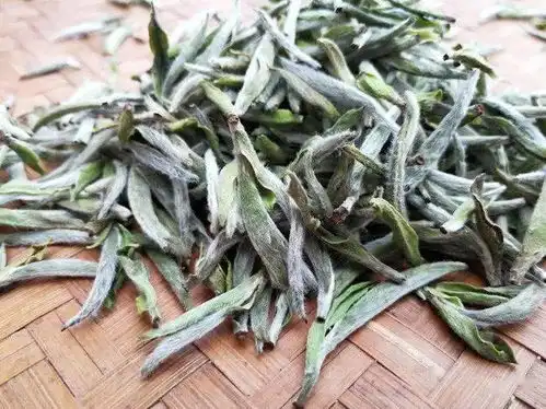  教你存白茶,仅此一文就够了陈越香