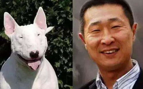  哪些明星撞脸过动物他俩撞的是同一品种,最心塞的还是李荣浩