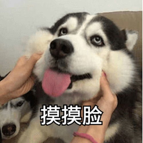  你用过哪些超级暖的安慰人的表情包